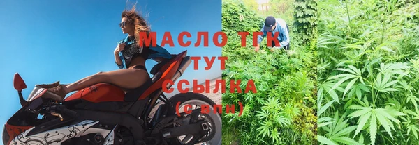 крисы Алзамай