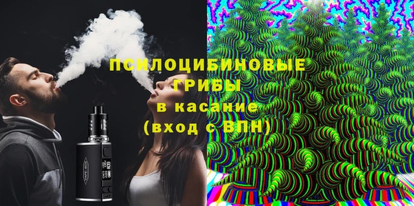 крисы Алзамай