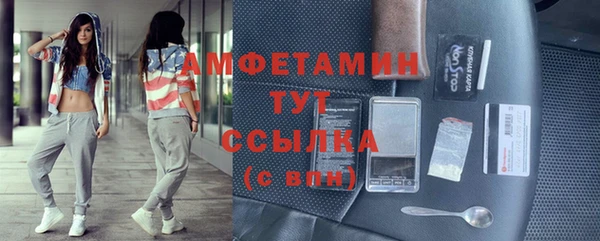 крисы Алзамай