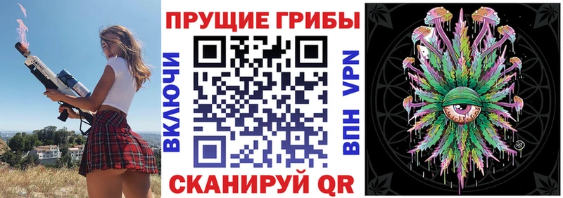 Псилоцибиновые грибы Psilocybine cubensis  KRAKEN ТОР  Пролетарск 